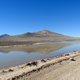 A small, temporary lagoon in the Atacama Desert caused by unprecedented rains.